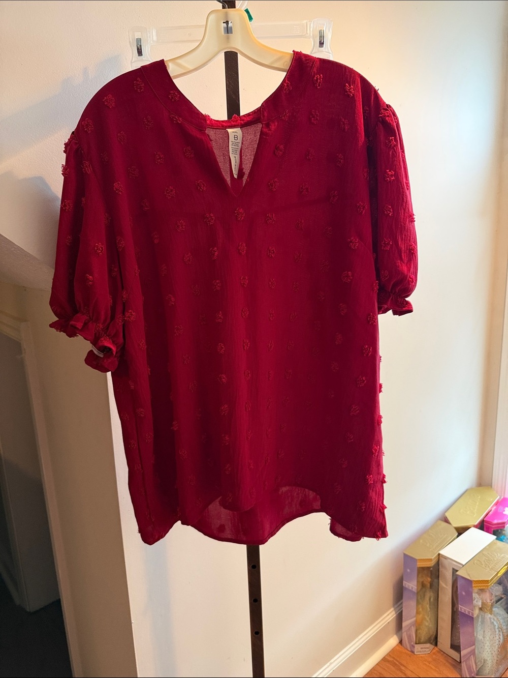 Women's Red Textured V-Neck Blouse